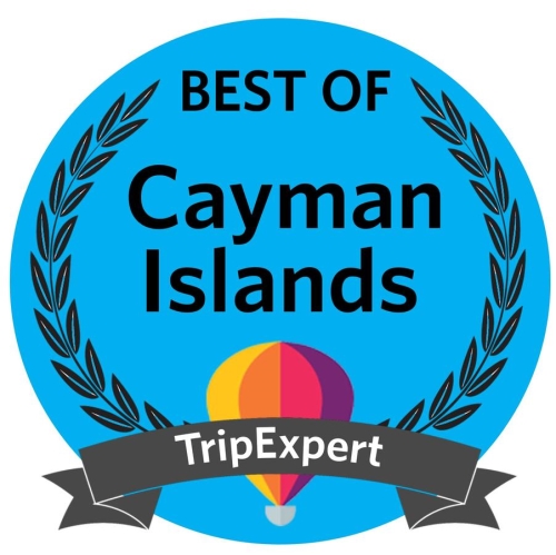 Синагога стала лауреатом 2018 Expert's Choice Award