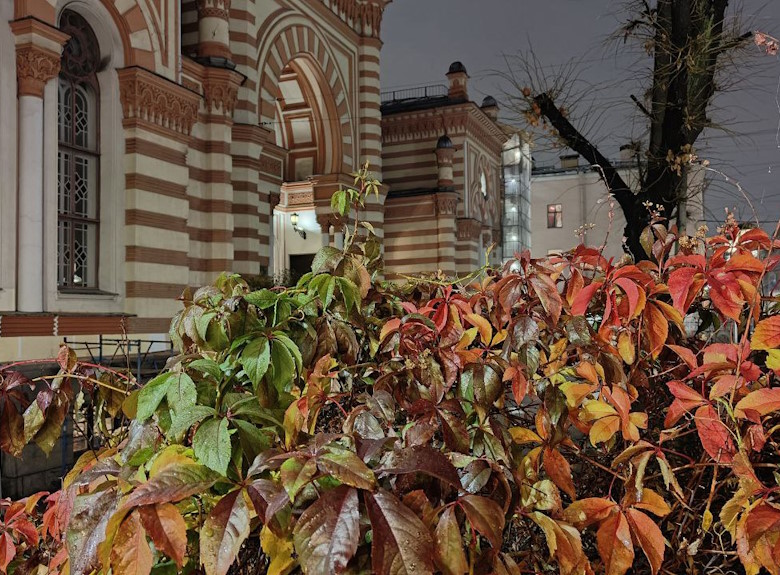 Шабат Ваэра