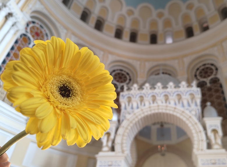 Шабат Тазриа-Мецора