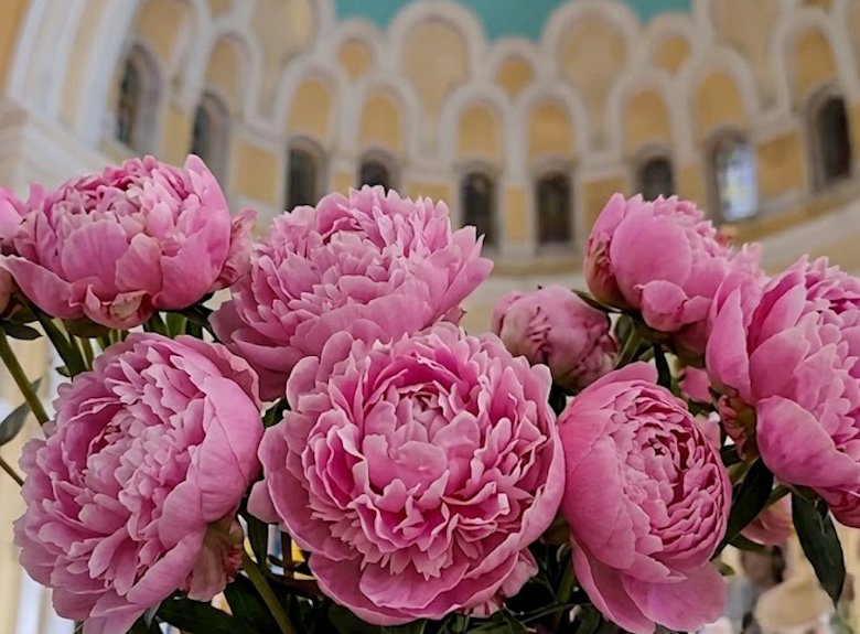 Шабат Корах
